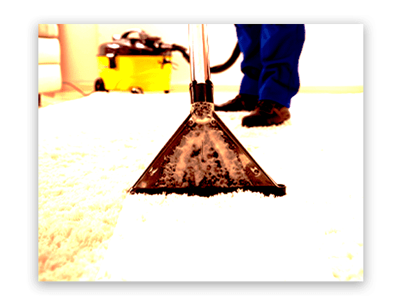 Expert Carpet Cleaning Dianella